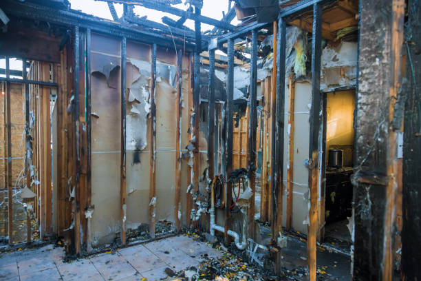 Professional Fire Damage Removal technician working in Warsaw, MN